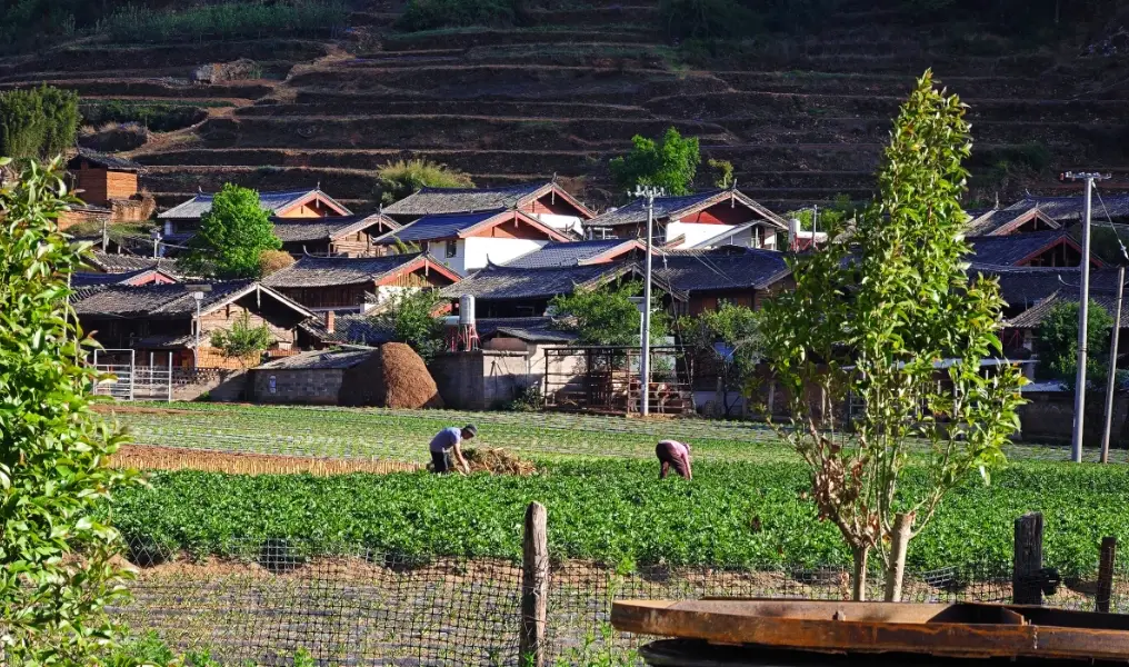山居生活