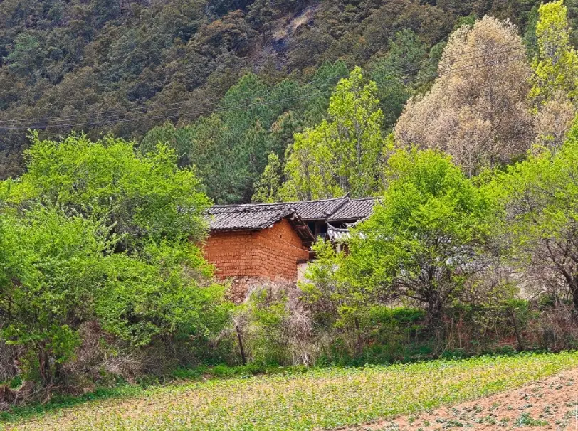 山上生活